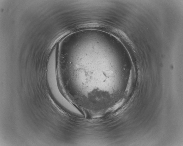 X0000061741225200512091602