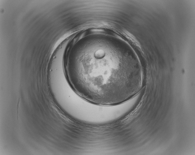 X0000061741226200512091602