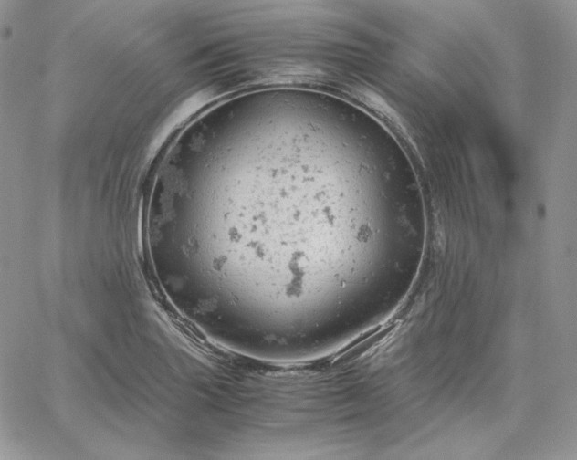 X0000061741227200512091602