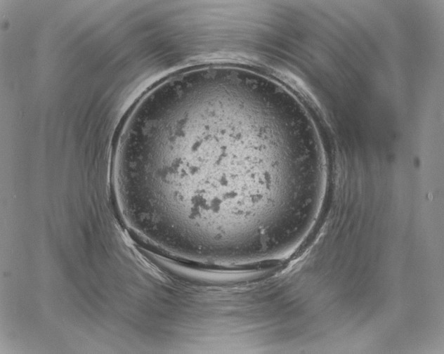 X0000061741228200512091602