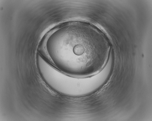 X0000061741230200512091602