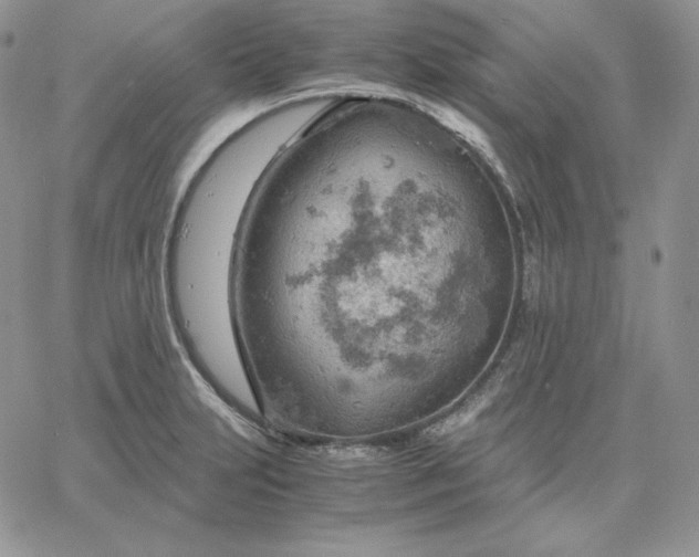 X0000061741231200512091602