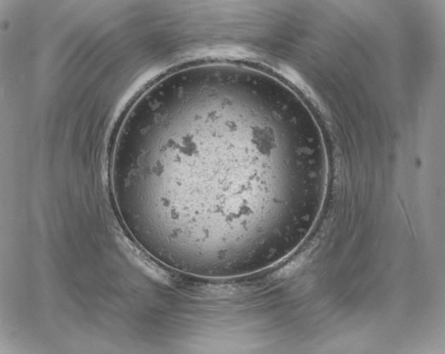 X0000061741232200512091602