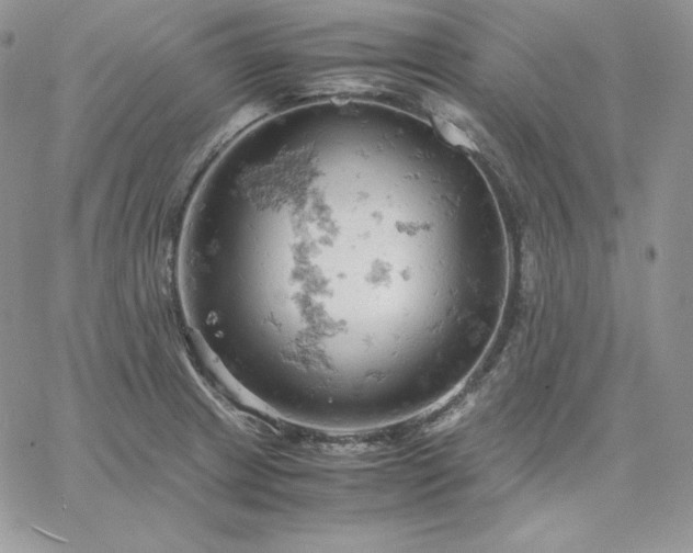 X0000061741233200512091602