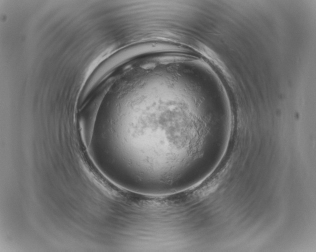 X0000061741234200512091602