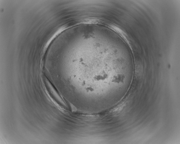 X0000061741235200512091602