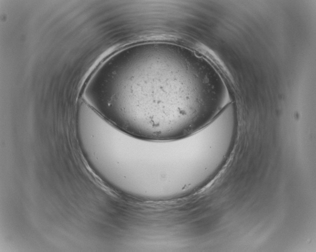 X0000061741236200512091602