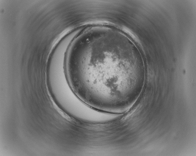 X0000061741237200512091602