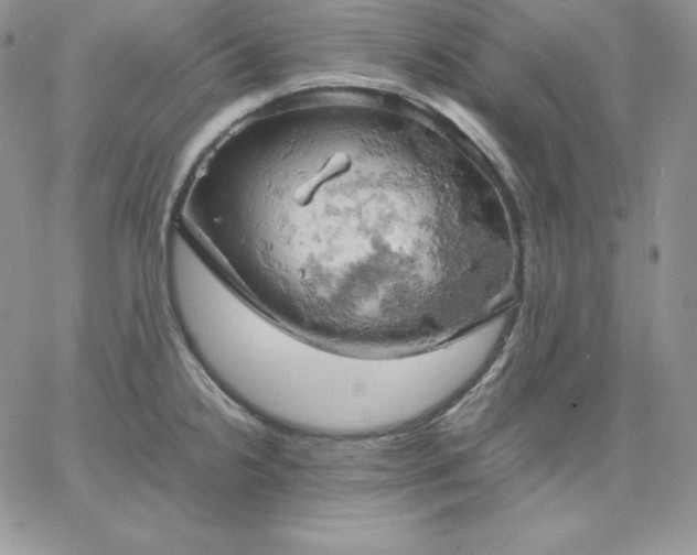 X0000061741238200512091602