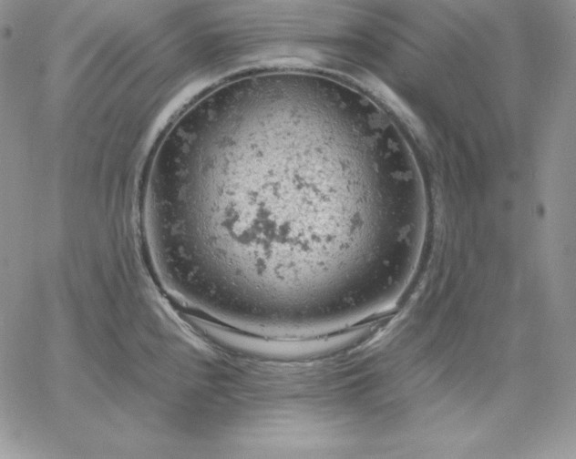 X0000061741240200512091602