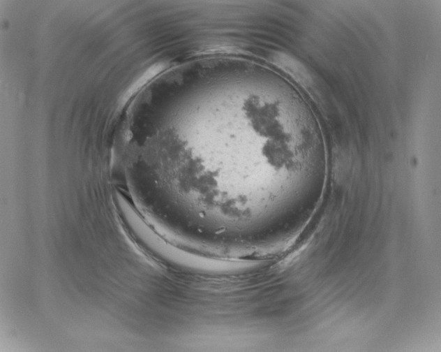 X0000061741241200512091602