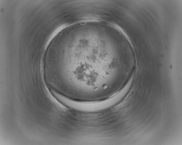 X0000061741243200512091602