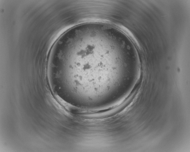 X0000061741244200512091602