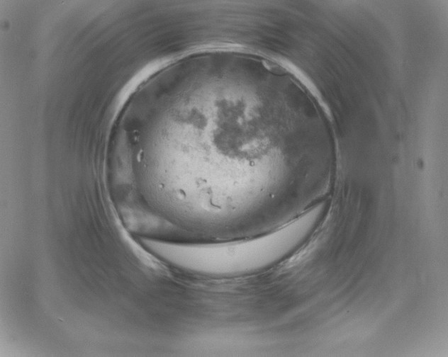 X0000061741245200512091602