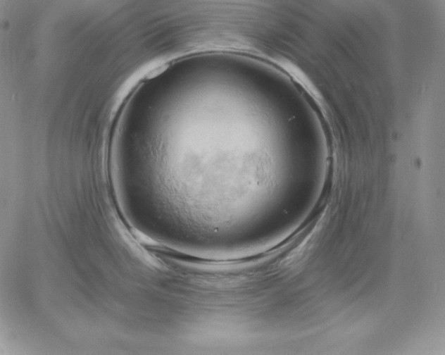 X0000061741246200512091602