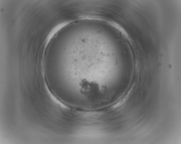 X0000061741247200512091602