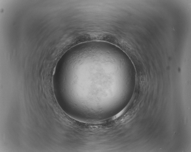 X0000061741249200512091602