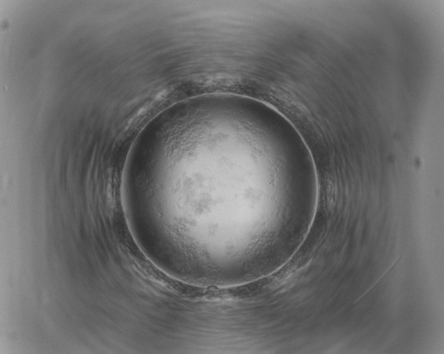 X0000061741250200512091601