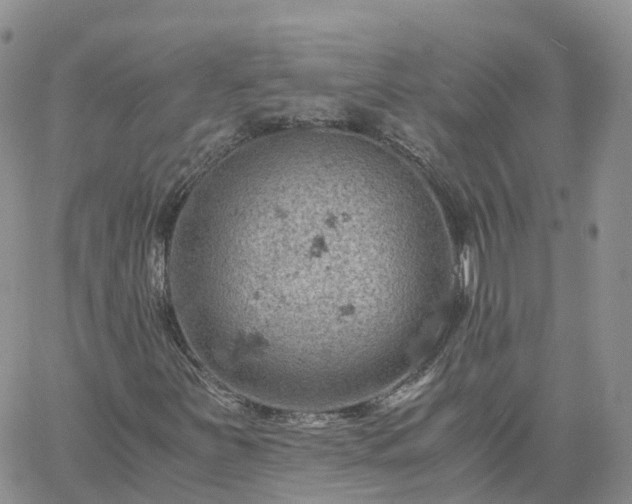 X0000061741251200512091601