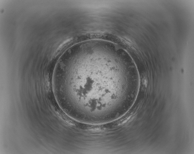 X0000061741252200512091601