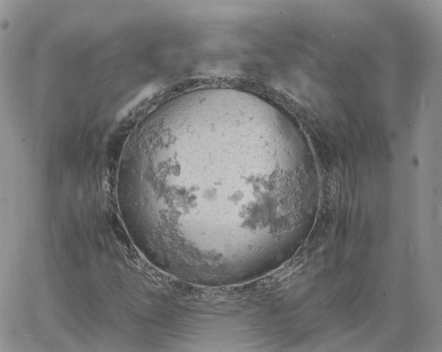 X0000061741254200512091601