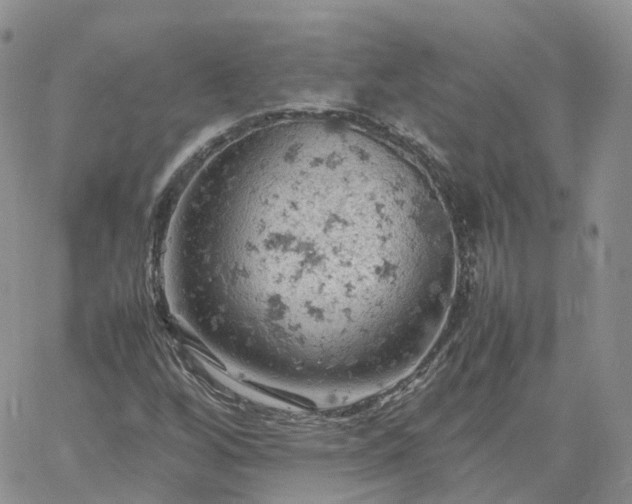 X0000061741256200512091601