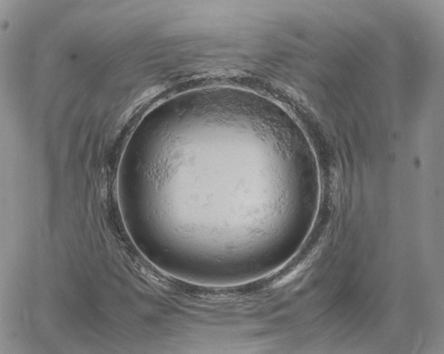 X0000061741257200512091601