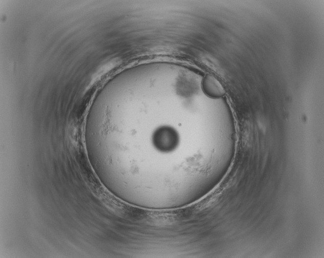 X0000061741258200512091601