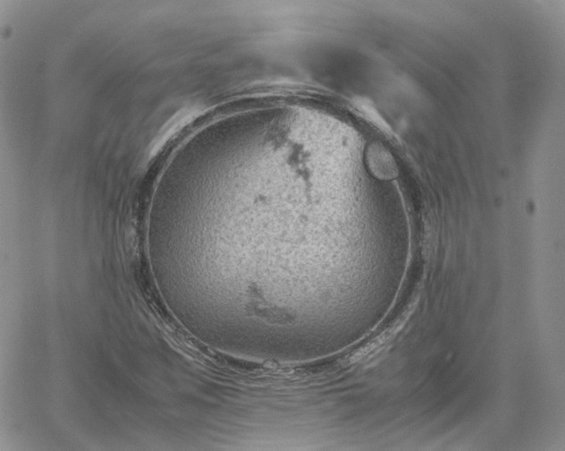 X0000061741259200512091601