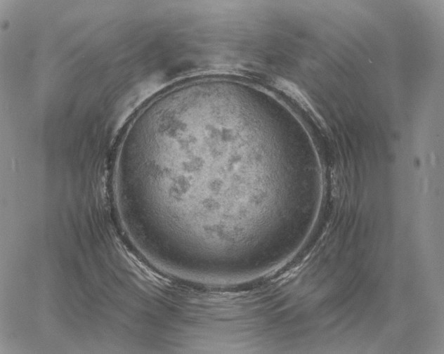 X0000061741260200512091601