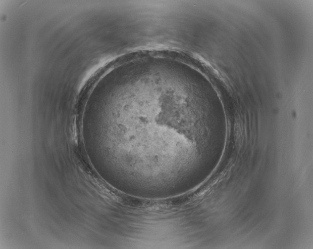 X0000061741262200512091601