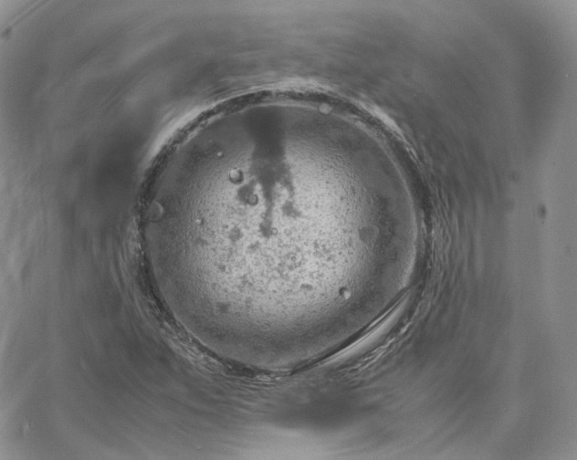 X0000061741263200512091601