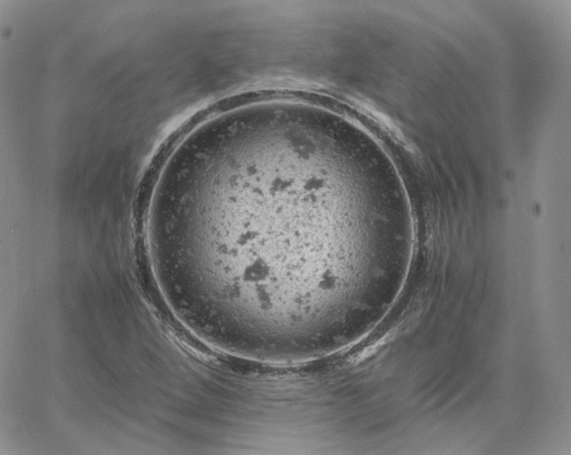 X0000061741264200512091601