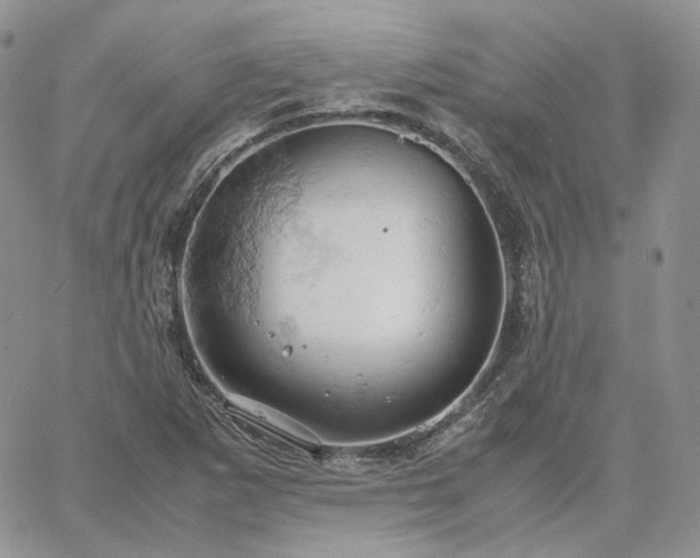 X0000061741265200512091601