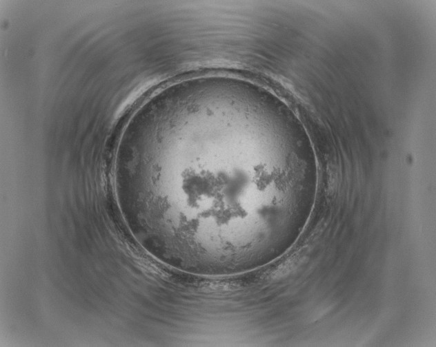 X0000061741266200512091601