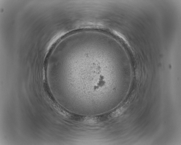 X0000061741267200512091601