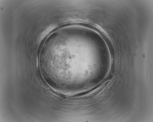 X0000061741269200512091601