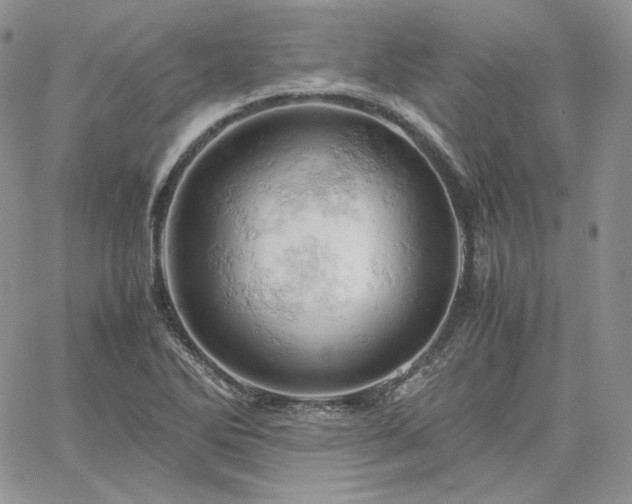 X0000061741270200512091601