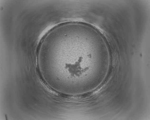 X0000061741271200512091601