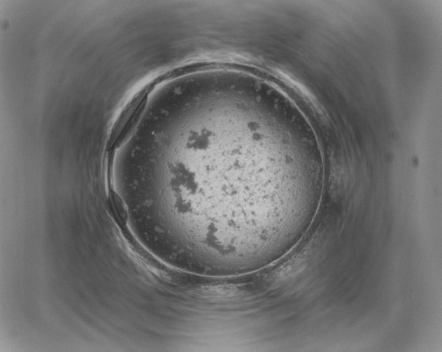 X0000061741272200512091601