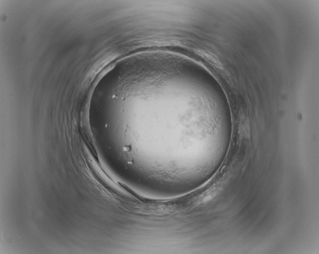 X0000061741273200512091601