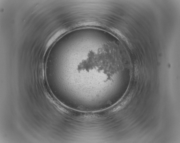 X0000061741274200512091601