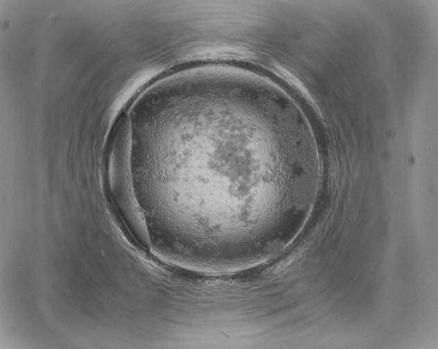 X0000061741277200512091601