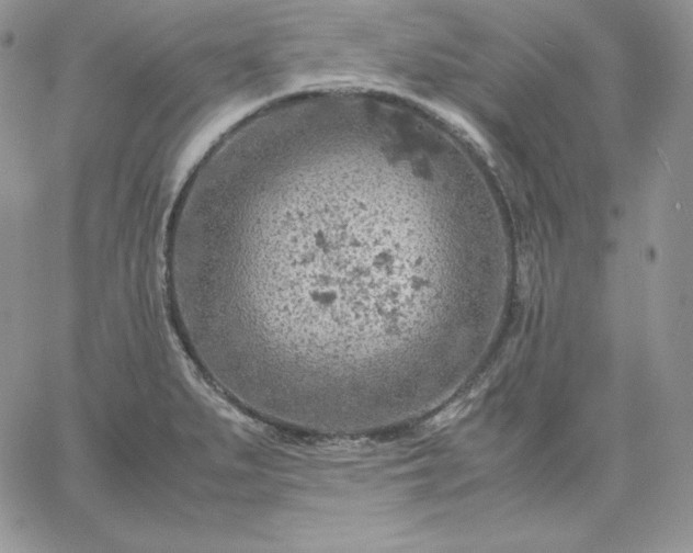 X0000061741279200512091601