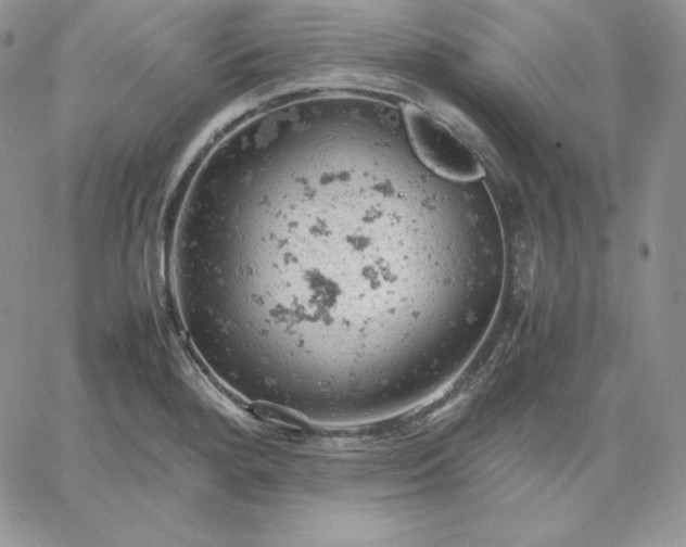 X0000061741280200512091601