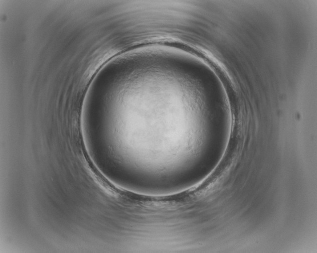 X0000061741281200512091601