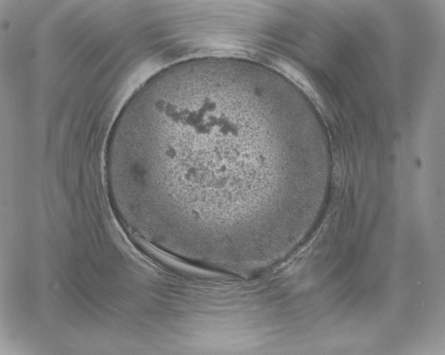 X0000061741283200512091601