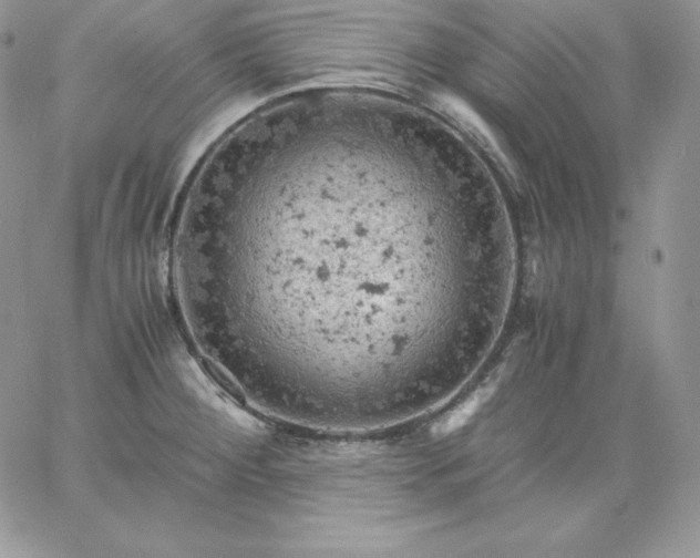 X0000061741284200512091601