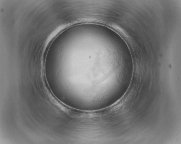 X0000061741286200512091601