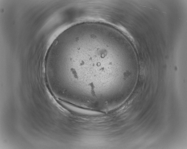 X0000061741287200512091601